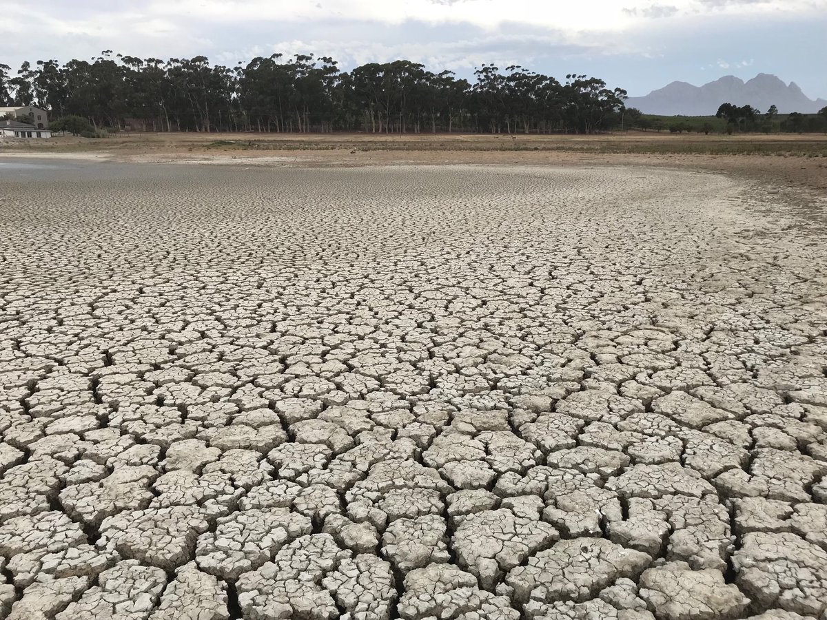 You only realise the full extent of the Cape drought, if you come close and personal to it. The floor of one of our irrigation dams without lending a drop to the vines this season. #saharvest18