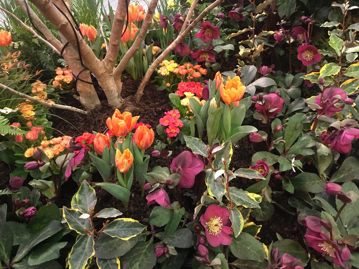I love this color combo at the #nwfgs
