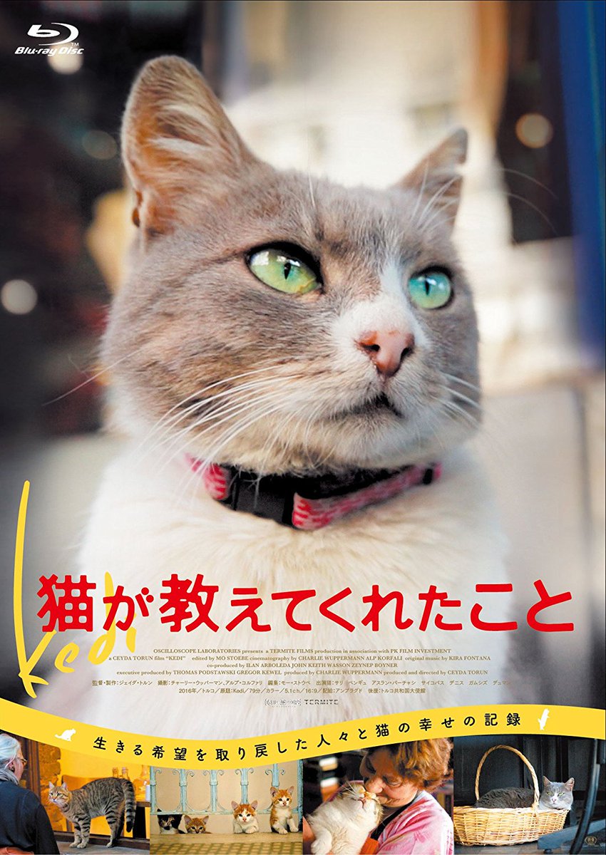 5月2日発売 猫が教えてくれたこと Blu-ray トルコの古都イスタンブール