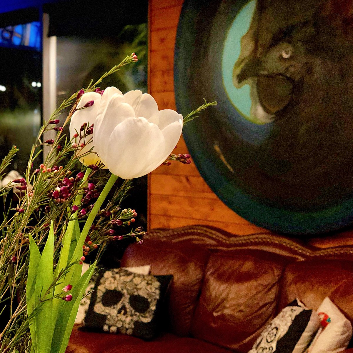 ElGalloNegroBar's tweet photo. The mood is set. Now let’s eat and have a drink in this warm Winter afternoon!
•
•
•
#elgallonegrowindsor #elgallonegro #bar #mezcaleria #mezcal #tequila #wehavemezcal #andtequila #windsor #weservemole #kitchenisopen #cantaritos #jalisco #margarita #margaritamix https://t.co/MyDtupMKWl