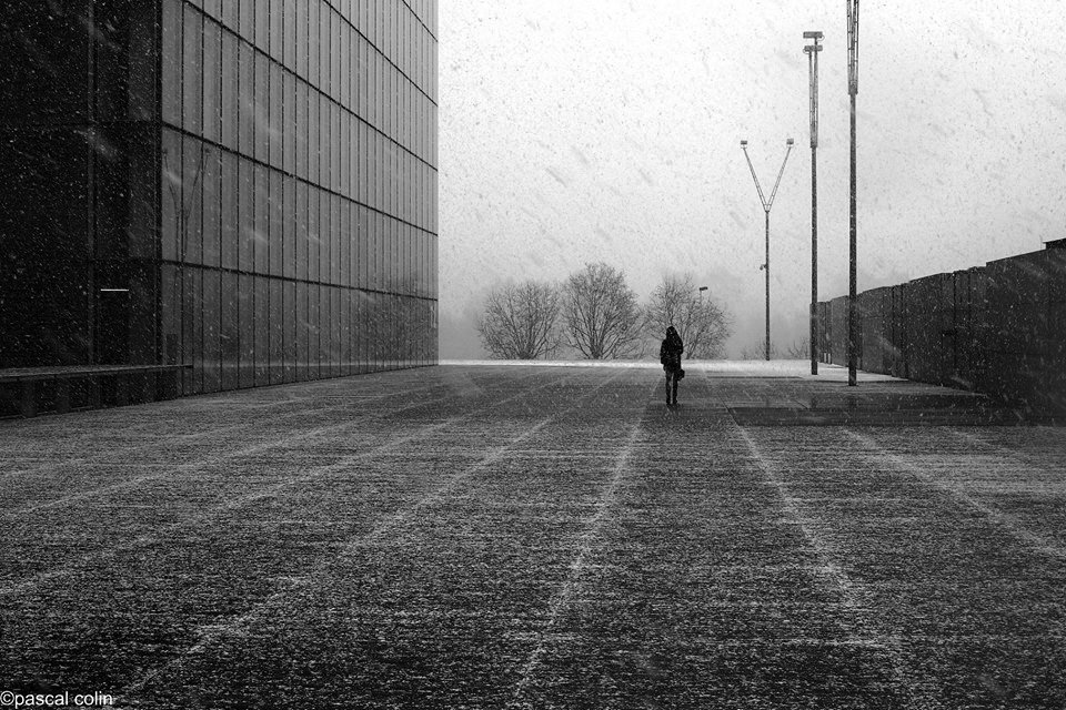 colinesss's tweet photo. Ice time
#streetphotography #blackandwhite #Paris #pascalcolin #canon #50mm https://t.co/jrcfSvvbSO