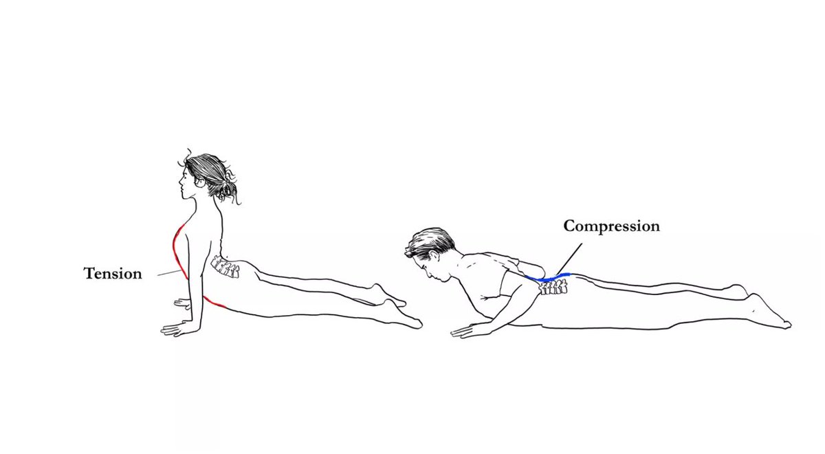 There's no one-size-fits-all approach in yoga. Here, 8 keys to take your yoga teaching beyond standardized alignment cues. ow.ly/XLY030ii9o1