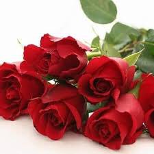 5 صفات تعذب أصحابها :
.
🔴 التفاؤل
🔴 الكرم 
🔴 المرح
🔴 الانفتاح الاجتماعي
🔴 حسن الظن 
🔴 عمق التفكير 
الصفات أعلاه تعذب صاحبها إن كان من حوله يتصفون بعكسها :
( زوج -جار - أخ - زميل عمل -زميل غرفه)
💔 هل لديكم صفات أخرى تعذب ؟