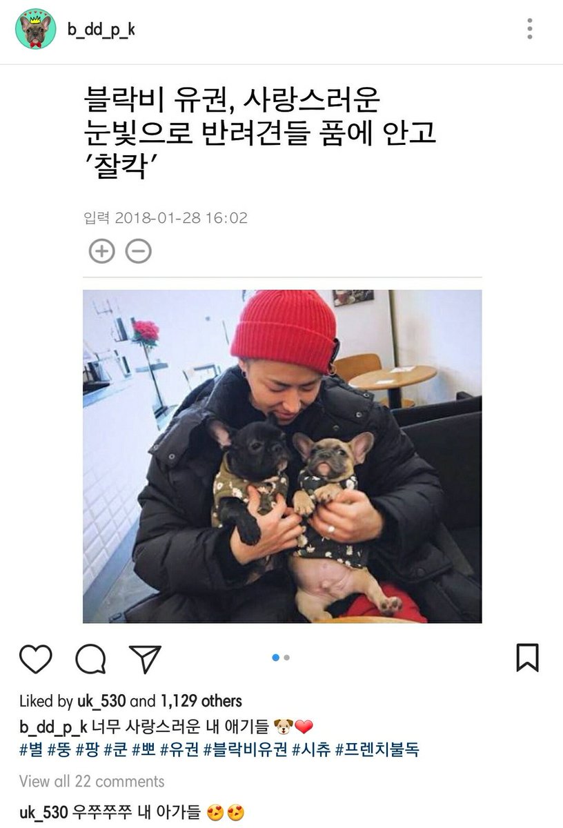KimYukwonBrasil's tweet photo. 070218 Yukwon comentou na foto da b_dd_p_k
Meus bebês parecem tão adoráveis 🐶❤️
#Byul #Ddoong #Pang #Kun #Ppo #Ukwon #BlockBUkwon #shihtzu #frenchbulldog
U-Kwon: u choo choo choo meus bebês 😍😍
https://t.co/07V33kHl5d https://t.co/4xszLeJfpn
