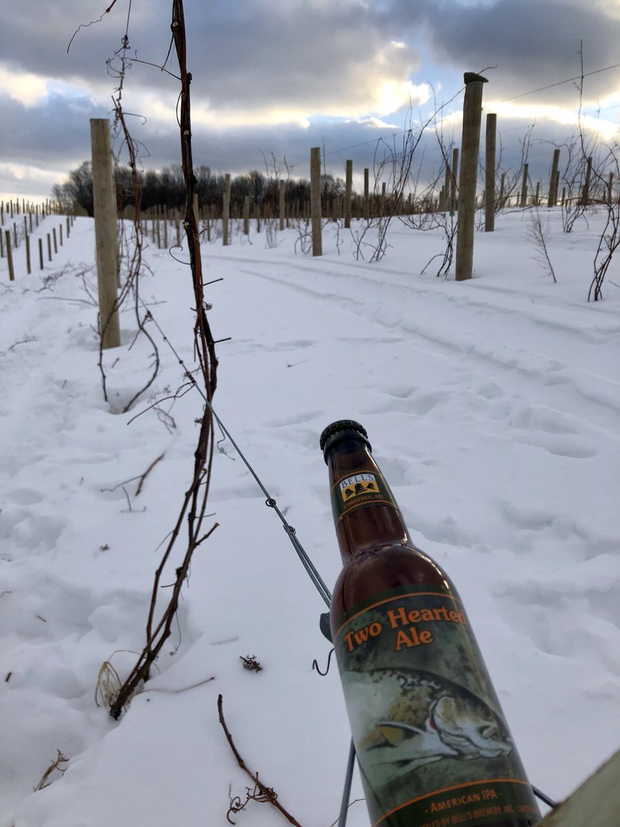 GregShooks's tweet photo. My reward for pruning another row of grape vines. #icouldgetusedtothis #incentive https://t.co/W5FP3JG1gd