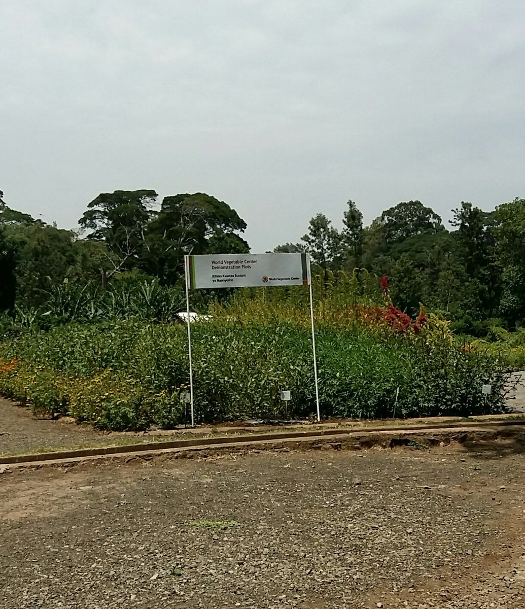 MelleLeenstra's tweet photo. Discovered great partnership potential between WorldVeg (@go_vegetables) and the #DutchDiamond. Vegetables for income and nutrition for women, men and youth. Opportunities for innovation and knowledge exchange. #PostHarvest, #Agripreneurship #FeedingCities https://t.co/bEBNCuGFFS
