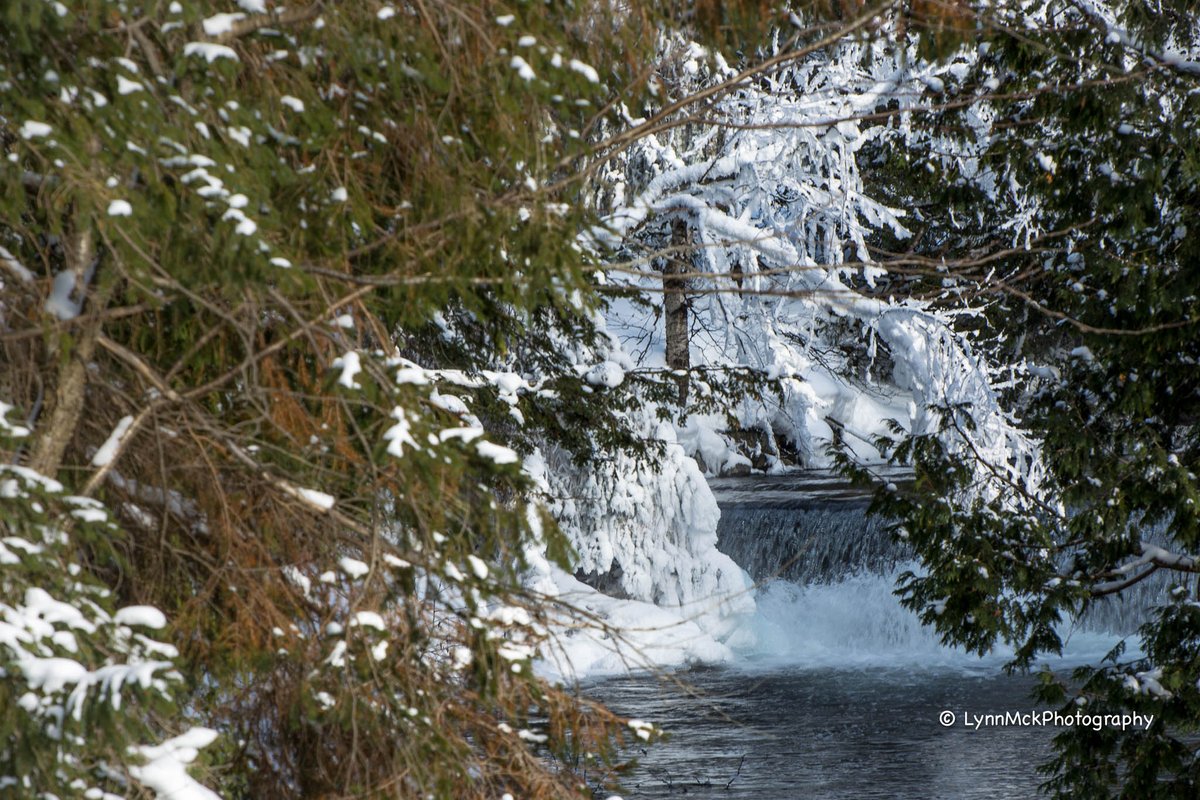 justabitfurther's tweet photo. Throwback to #dec2017 #Rosseau #BentRiver @explorersedge @Muskoka411 @NorthMuskoka @MuskokaTourism #backcountry #HikingAdventures #getoutside @TourismON #hiking #WinterWonderland https://t.co/7DCh0rqcyL