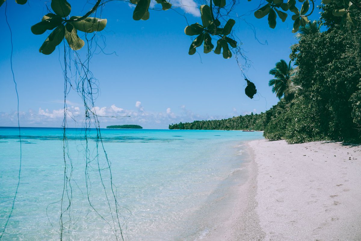 CrookedCompass's tweet photo. NEW ON OUR BLOG: Pohnpei - Micronesia's Garden Paradise. https://t.co/NmbeKn1Sn9 #ImmerseYourself #TravelDeeper #FollowADifferentPath #Pacific https://t.co/Yt74153iQ0