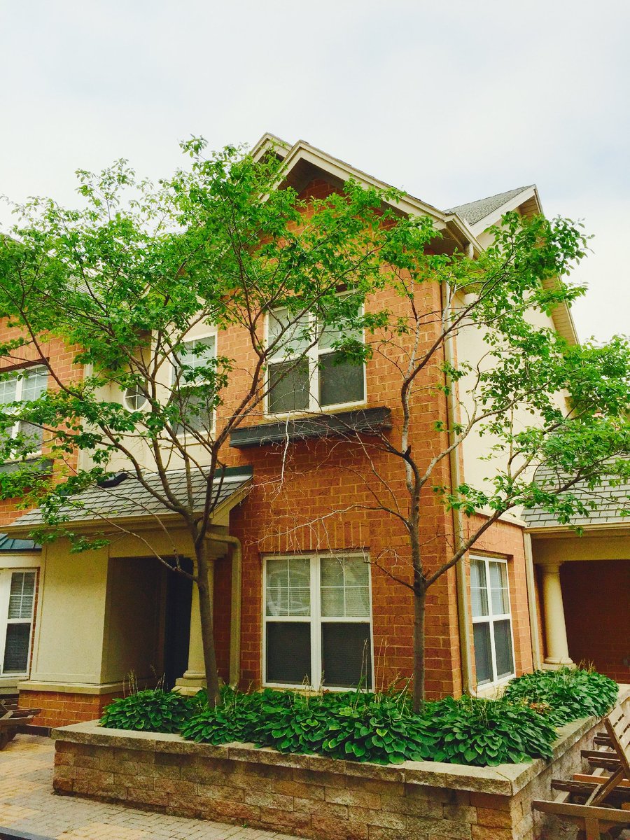 LoringPark's tweet photo. Two Bedroom and Three Bedroom Town Home Available this Month! Call us today for a personalized tour: (612) 333-4300 https://t.co/8pDm6HXMDm