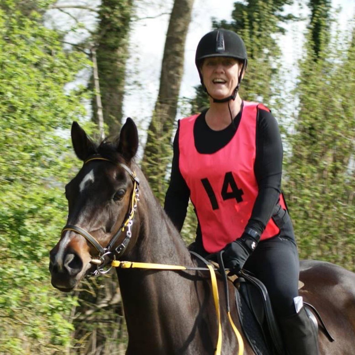 TSMEndurance's tweet photo. When you have such fab sponsors π#Huskhorseweartechnology #MDCStirrups #Elitehaylage #Stormchase #Equineexpress #Equepet #Anvilparkstud #Apollostables #jhengineering #fedonequidgel #H3sportstherapy #Norfolkhorseboxes https://t.co/tsQt6X7baw