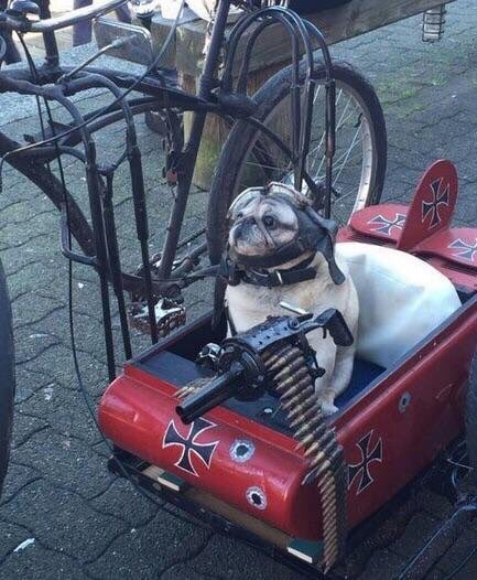 garyfromteenmom's tweet image. we attacc at dawn