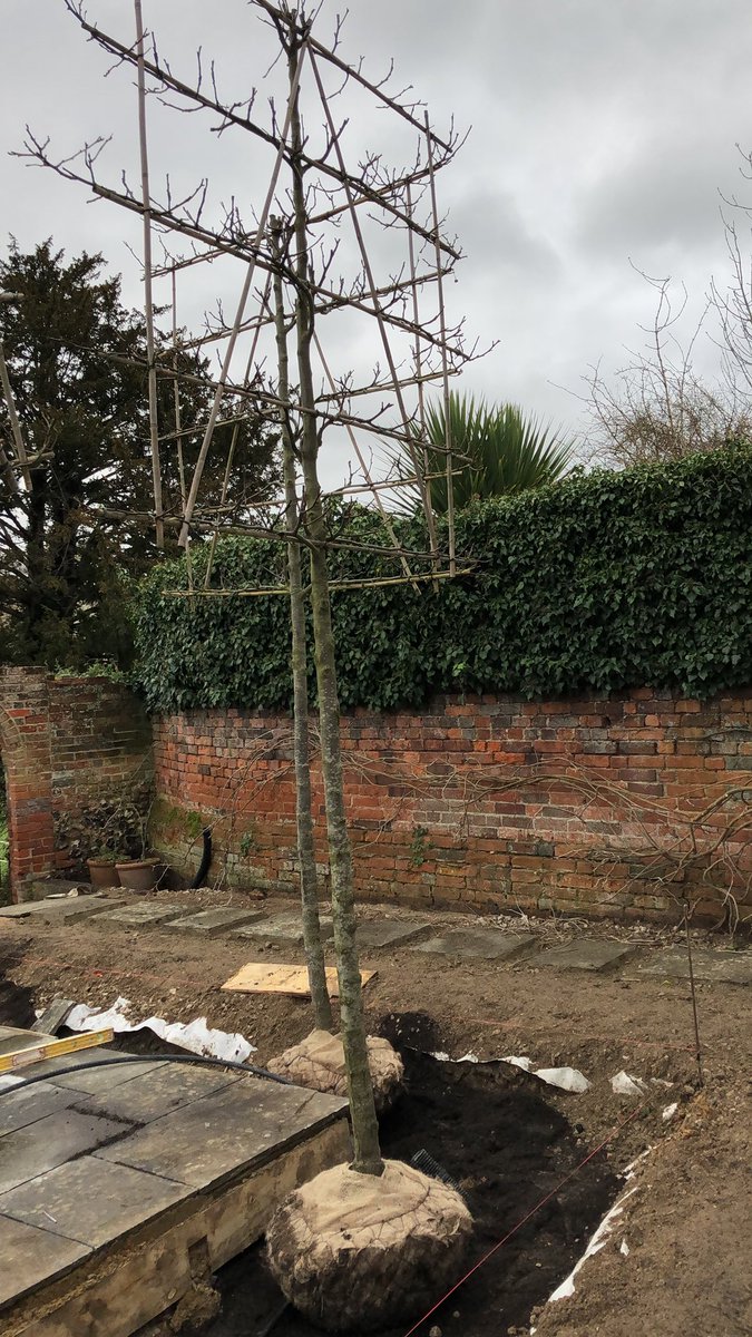 ButterWakefield's tweet photo. Lovely little project coming together beautifully, all thanks to the genius who is @michael_darvill and team. Gorgeous green stuff as always @deepdaletrees just the jobby! https://t.co/pYbetpya9A
