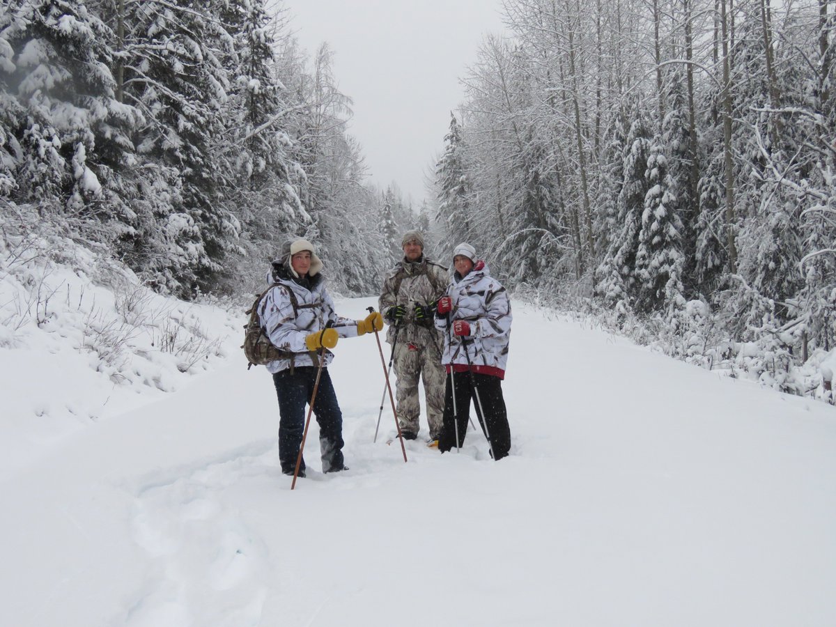 EcotoursBC's tweet photo. Winter @EcotoursBC lodge.  Lots of new snow for snowshoeing and tracking wolves, lynx and moose and even finding a fox. https://t.co/nsHe8O0GbP