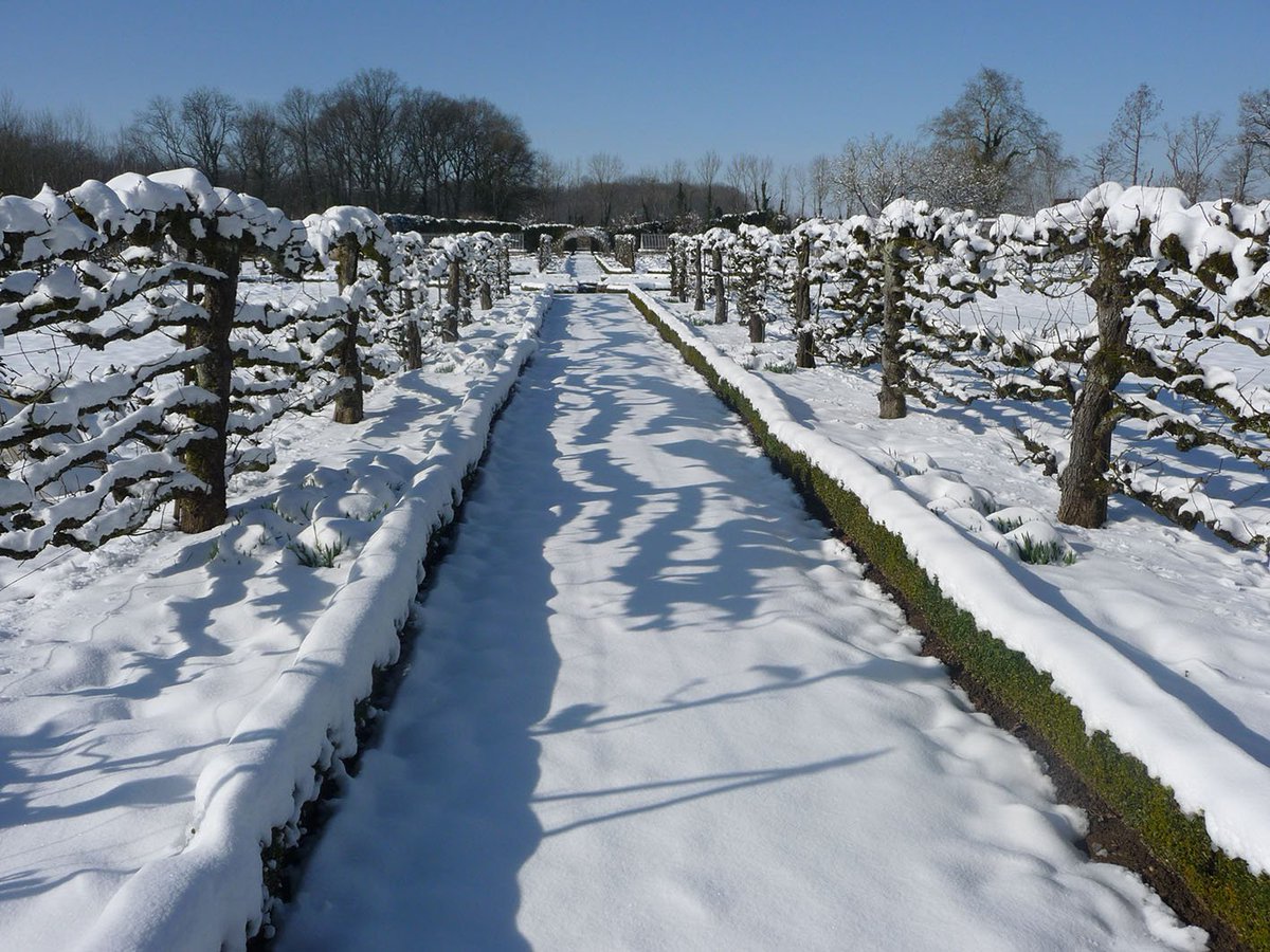 ChateauSJB's tweet photo. ATELIER FRUITIER REPORTE ! La #neige a joliment recouvert le #Domaine et le #jardin #potager de son beau manteau blanc. Magnifique #paysage qui nous empêchera toutefois de maintenir notre #atelier #fruitier de ce samedi. Celui-ci est reporté au 3 mars 2018.
#garden #fruitworkshop https://t.co/GVkBUZ8Oov