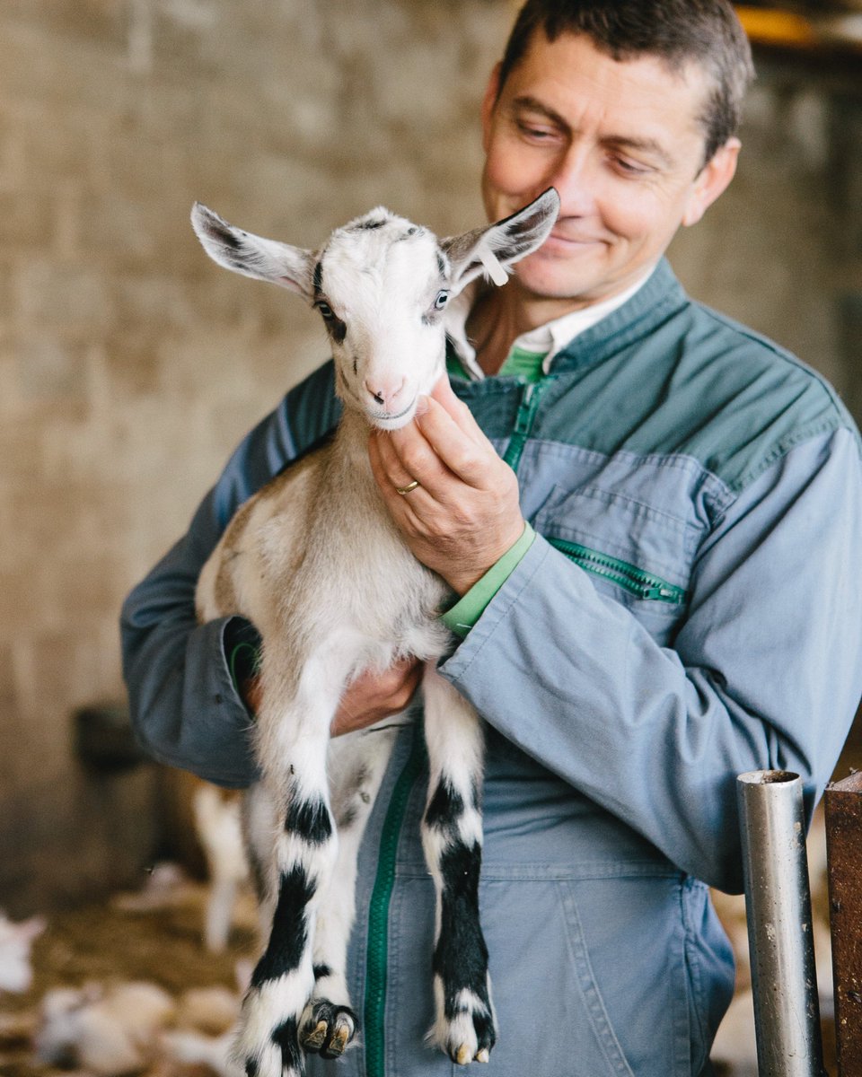 Jean-Marc, éleveur de chèvres dans la Vienne, vous attend à la Chèvrerie au Salon de l’Agriculture, dès l’ouverture le samedi 24 février, pour vous raconter son métier. Vous y serez ?

#SIA2018 #SIA #fromagesdechevre #éleveur #chèvre #salondelagri