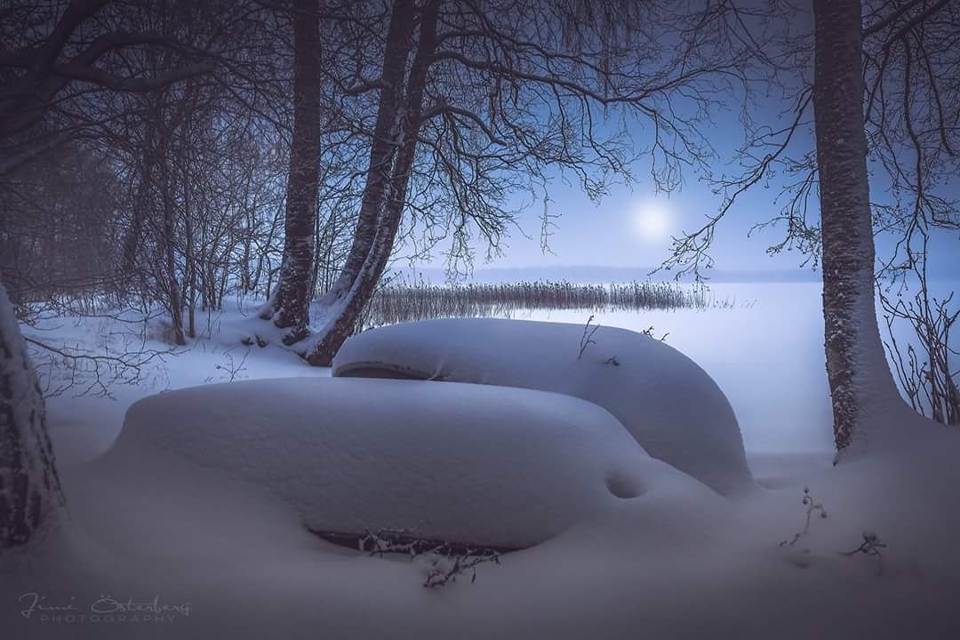 JimiostPhoto's tweet photo. Amazing moment few days ago #bluemoment #landscapephotography #landscape #Finland #travel #Lohja #nature #art @visitlohja @DiscoverFinland https://t.co/Q9y1cwjHr3