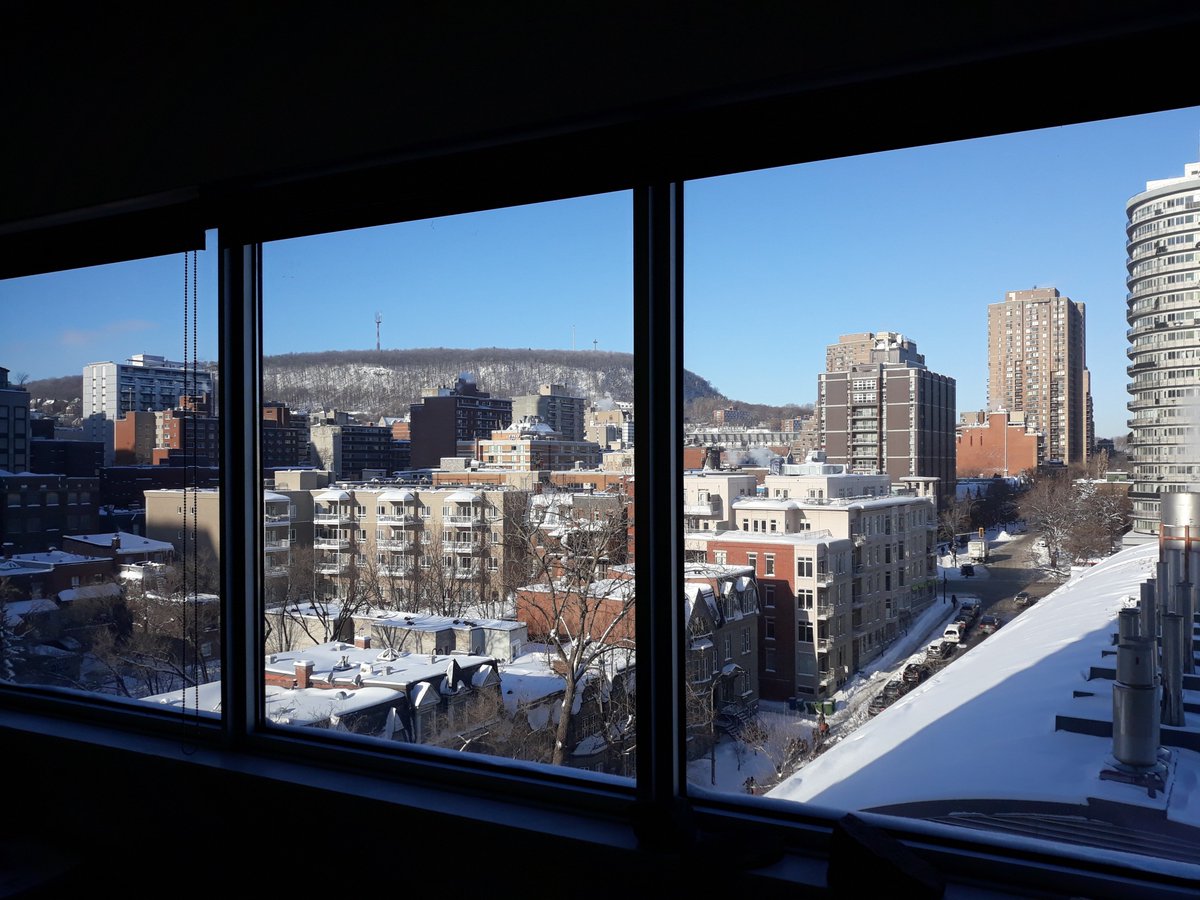 ecruscience's tweet photo. An office with a view! PhD student Sanna Piilo will spend the next three months @UQAM Laboratoire de paléoécologie continentale. #ecruscience #peatland @GeotopQC https://t.co/TRtRWAbUmf