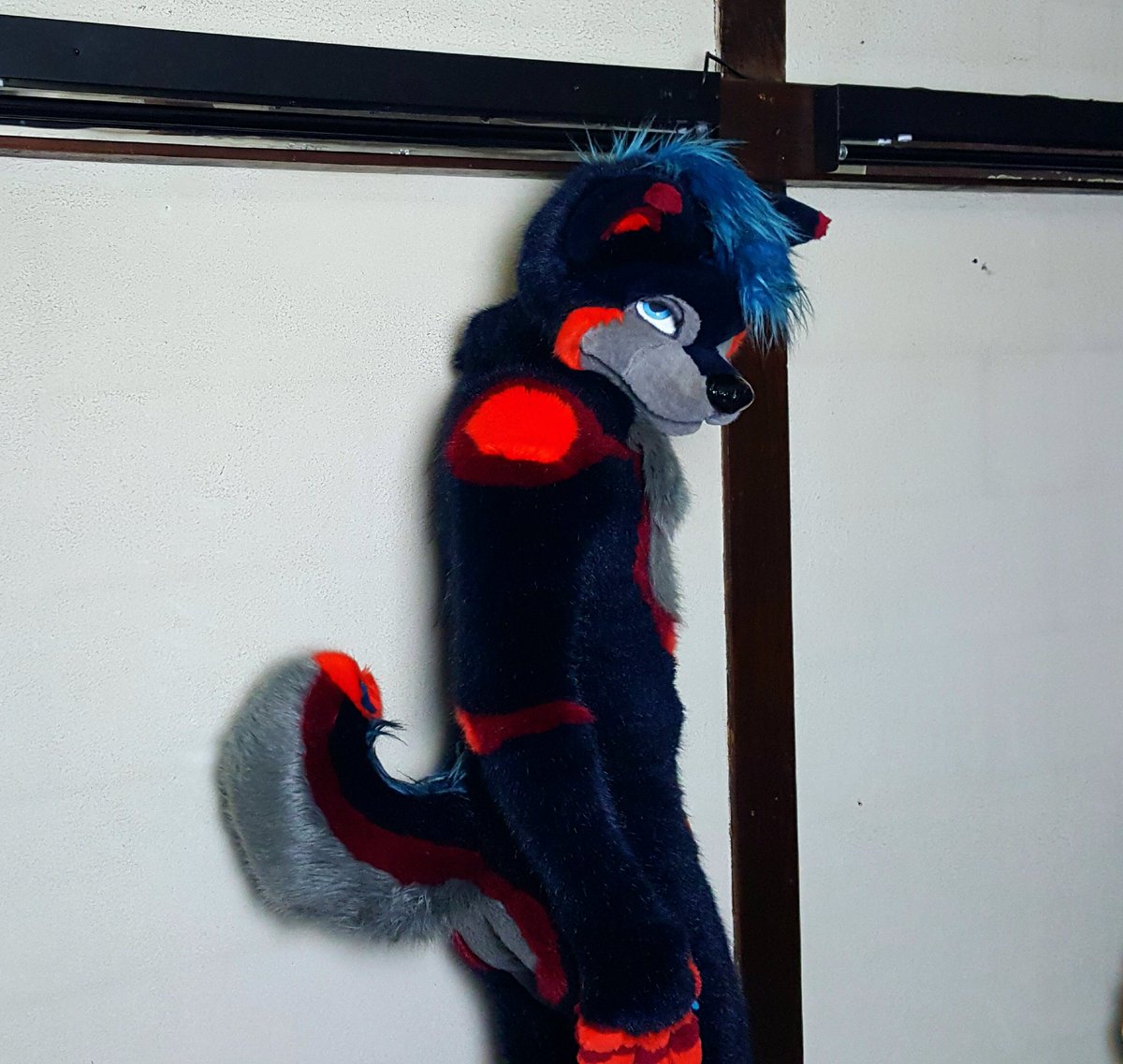 UshayWoof's tweet image. Well hello! Just a random pic.