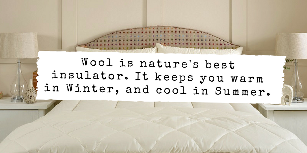 BritishWool's tweet photo. Did you know that #wool is nature's best insulator? One of many amazing features and benefits 🐑  #ThursdayThoughts #natural https://t.co/YWqKQBcirN
