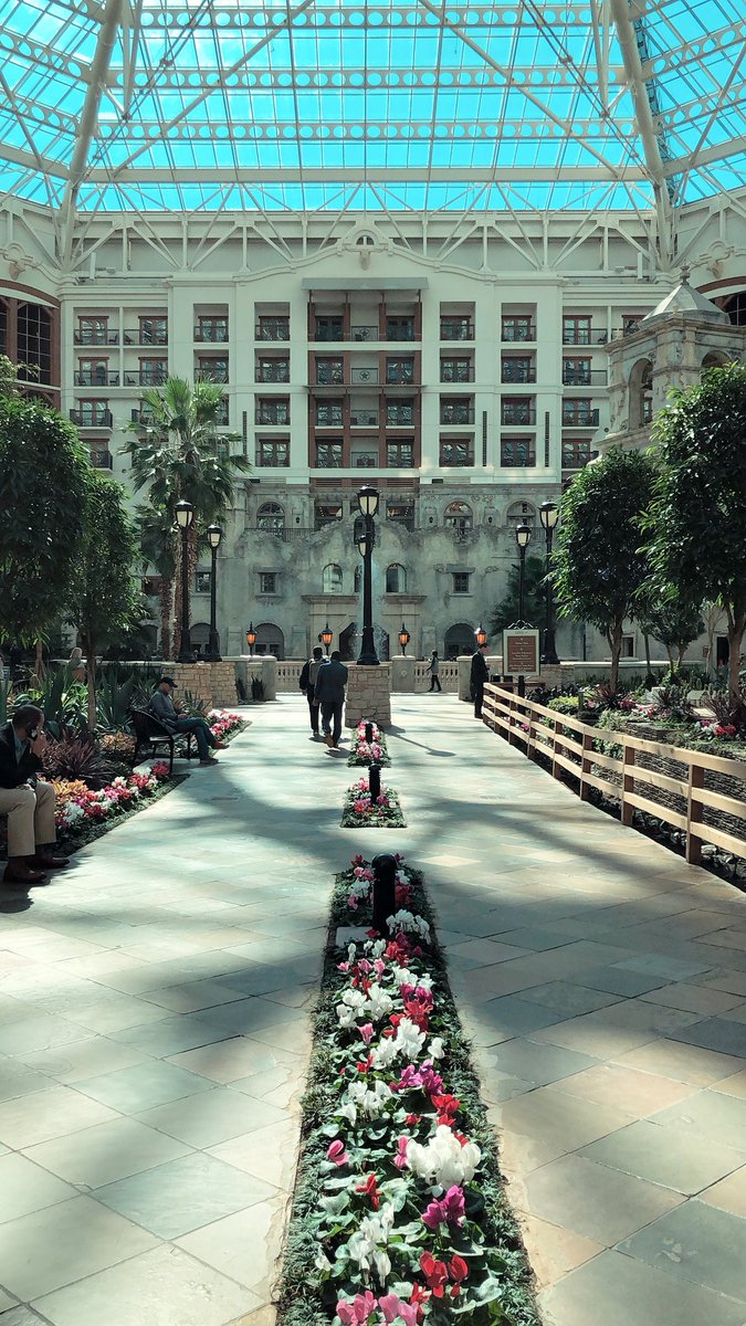 NDA Shannah tweet media