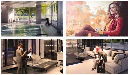 David Brigitte tweet media