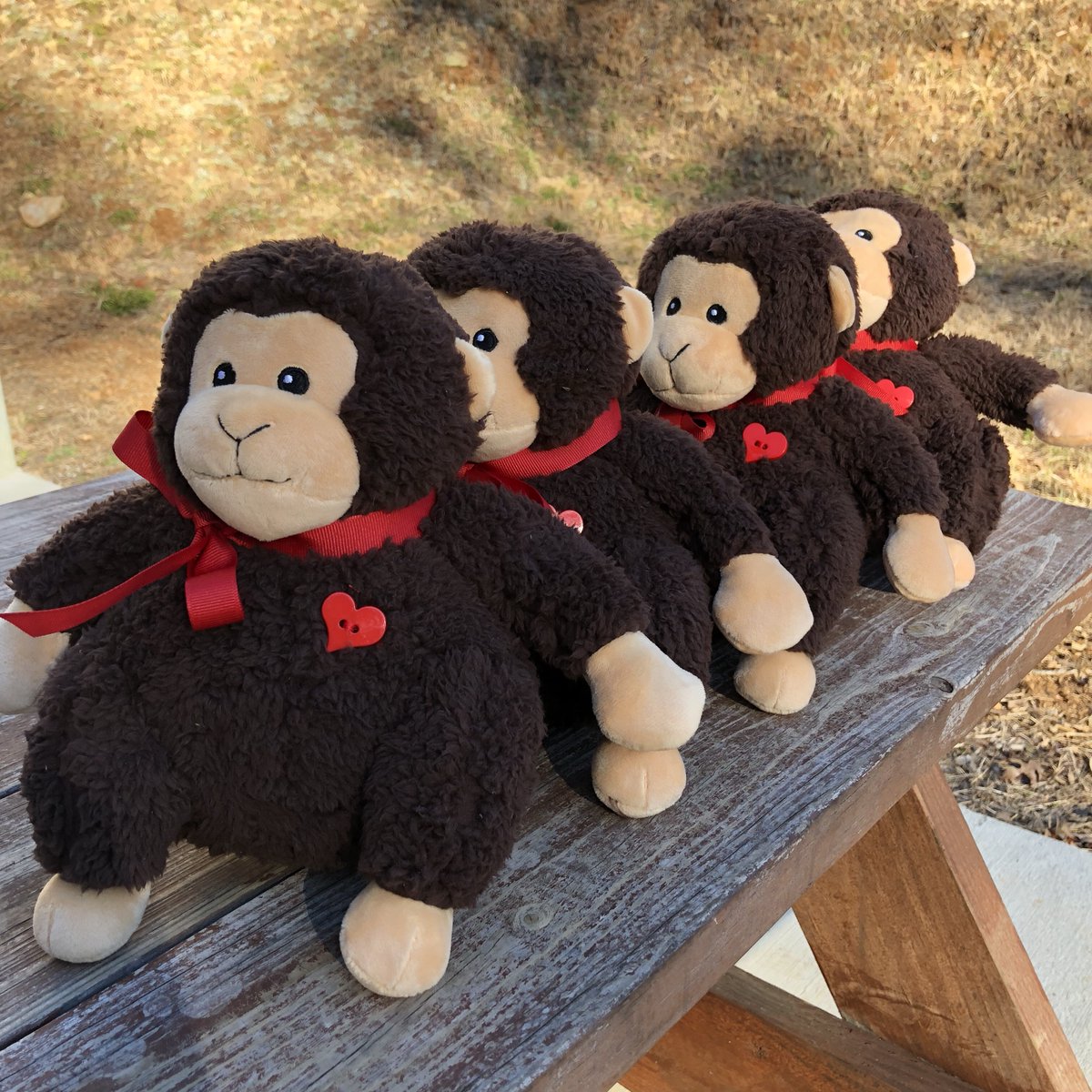 projectchimps's tweet image. Last chance to get a free Valentine chimp with your real chimp sponsorship! It’s a perfect gift and only $21/month or $250. Special ends today. Show your #chimplove today: ow.ly/FFTQ30idV8a #valentinesday #adoptdontshop