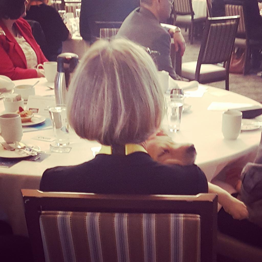 rebeccadaviso17's tweet photo. It was just too exciting @halifaxchamber @RickHansenFdn @CNIB @prezhfxchamber #HCCAccess https://t.co/DtQEI3ZmWK