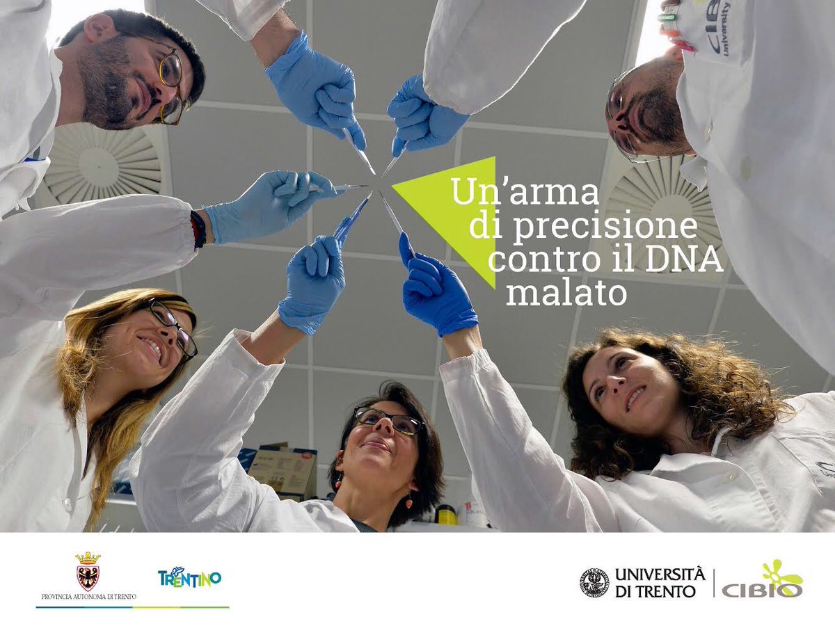 GZortea's tweet photo. Una speranza x combattere i #tumori oggi c'è. Questo grazie a @AnnaCereseto e al team di ricerca del @CIBIO_UniTrento. C'è anche un po' di orgoglio nel sapere che questa scoperta è il frutto di un territorio che investe e crede nella #ricerca: il #trentino https://t.co/NzshXQy1GV https://t.co/wG4aX5MmQk