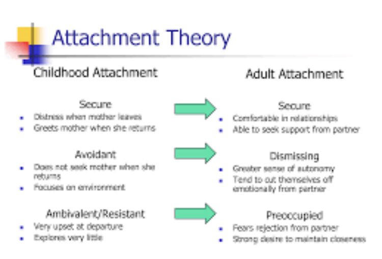 A Level Psychology on Twitter "Attachment The influence of early
