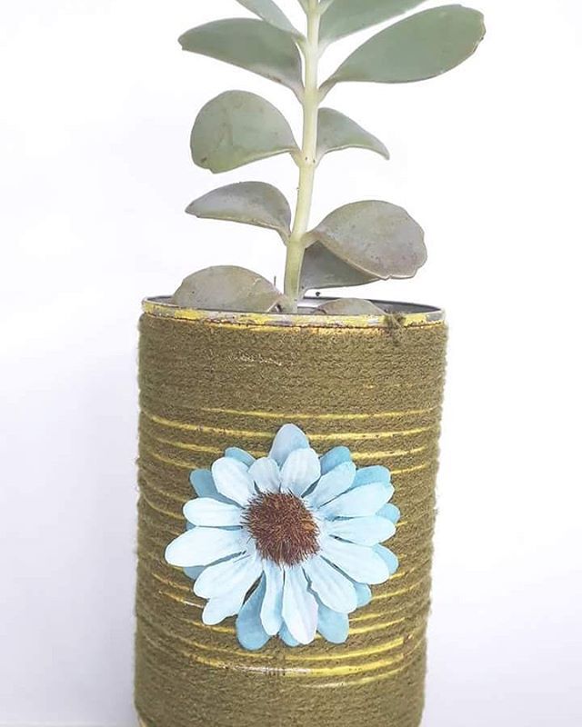 cwcreationstt's tweet photo. Check out our new #succulent in a "Shabby-Chic" tin planter. Order yours today for just $50 TTD https://t.co/NDoyKw8yMT https://t.co/tjy3g13pZQ