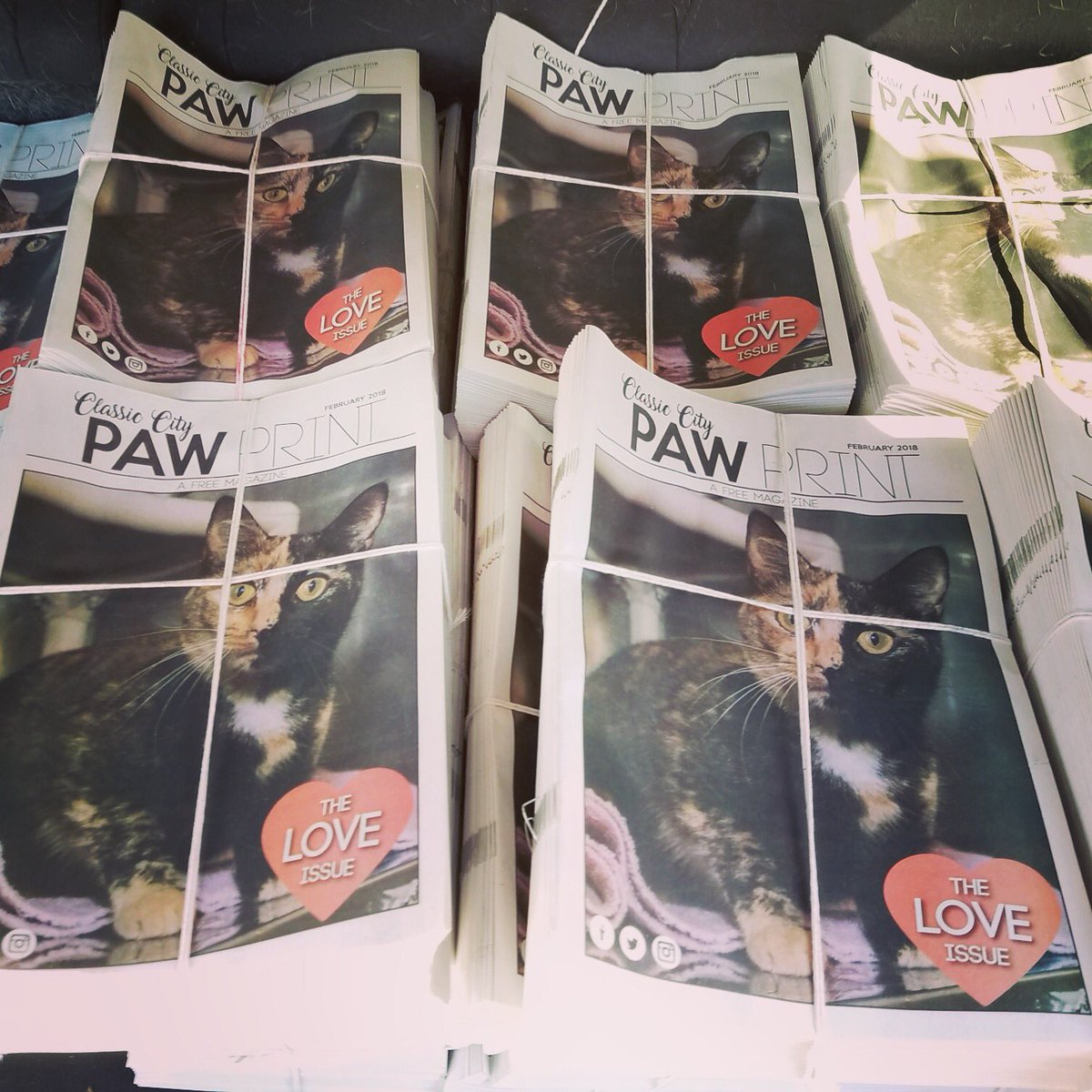 ccpawprint's tweet photo. The February issue of #classiccitypawprint is in hand (woohoo!) 🙌🏻🐱🐶🐰🐾, and we’re getting them around town this weekend... keep an eye out to pick up your hard copy! #my_athens #adoptdontshop #rescueismyfavoritebreed https://t.co/3tXiqTitRY