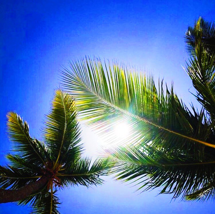 DrinkPB's tweet photo. Look up and hydrate the right 
way. No regrets!
#HYDRATEBRAZILLIANTLY https://t.co/JO5Mfsg5bW