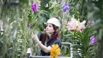 20 off the beaten track ideas to not miss a thing in #London this weekend:
 >>> bit.ly/2EfhcdT <<<