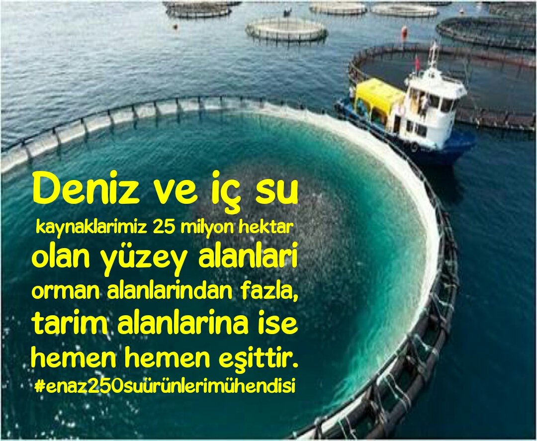 aquaticmean's tweet photo. 8333 kilometrelik kıyı şeridimiz için kamudaki sayımız 850-900 kişi yeterlimi sizce ? Yetersiz sayıda personelle nasıl denetim yapılıyor? 
#enaz250suürünlerimühendisi 
#denizlerimizçölolmasın 
@aefakibaba @naci_agbal https://t.co/zULZmh7vBw