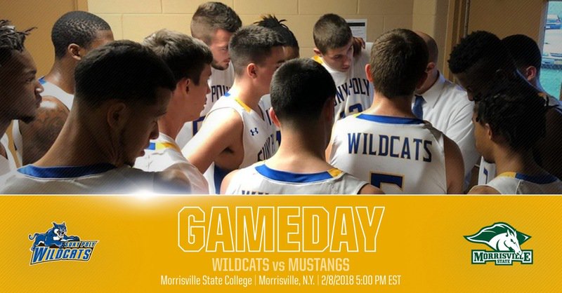 PolyWildcats's tweet photo. It's #Gameday for #PolyMBB! The Wildcats take on @MSCMustangs!
π - Morrisville, NY
π - 5PM
πΉ - https://t.co/NkVad72rsU
#MSCvsSPI
#d3hoops https://t.co/vfR6Mq1I5Z