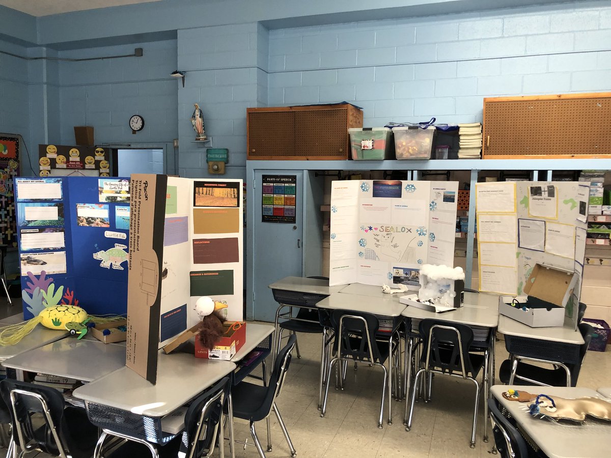 SCSMsMueller's tweet image. Mini Science Fair! #scsscience