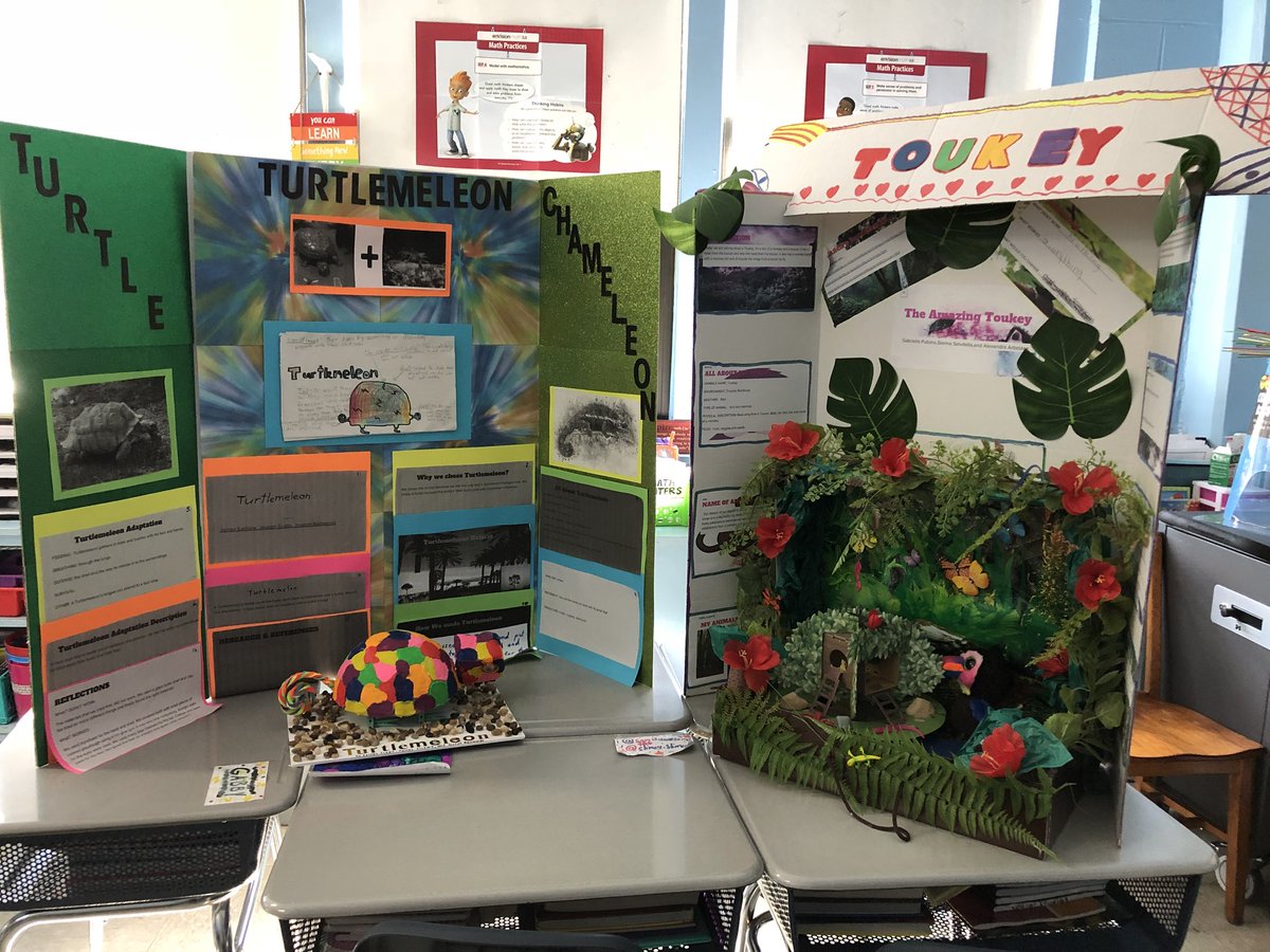 SCSMsMueller's tweet image. Mini Science Fair! #scsscience