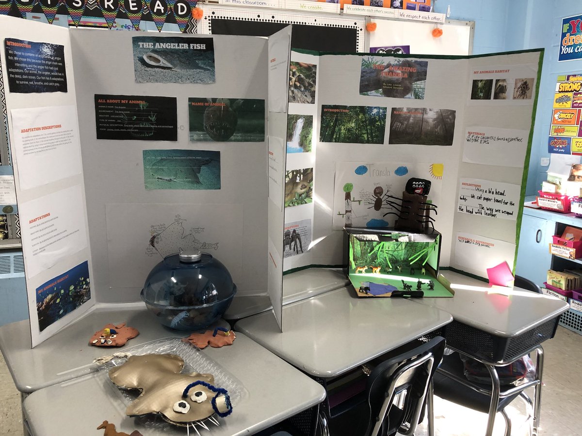 SCSMsMueller's tweet image. Mini Science Fair! #scsscience