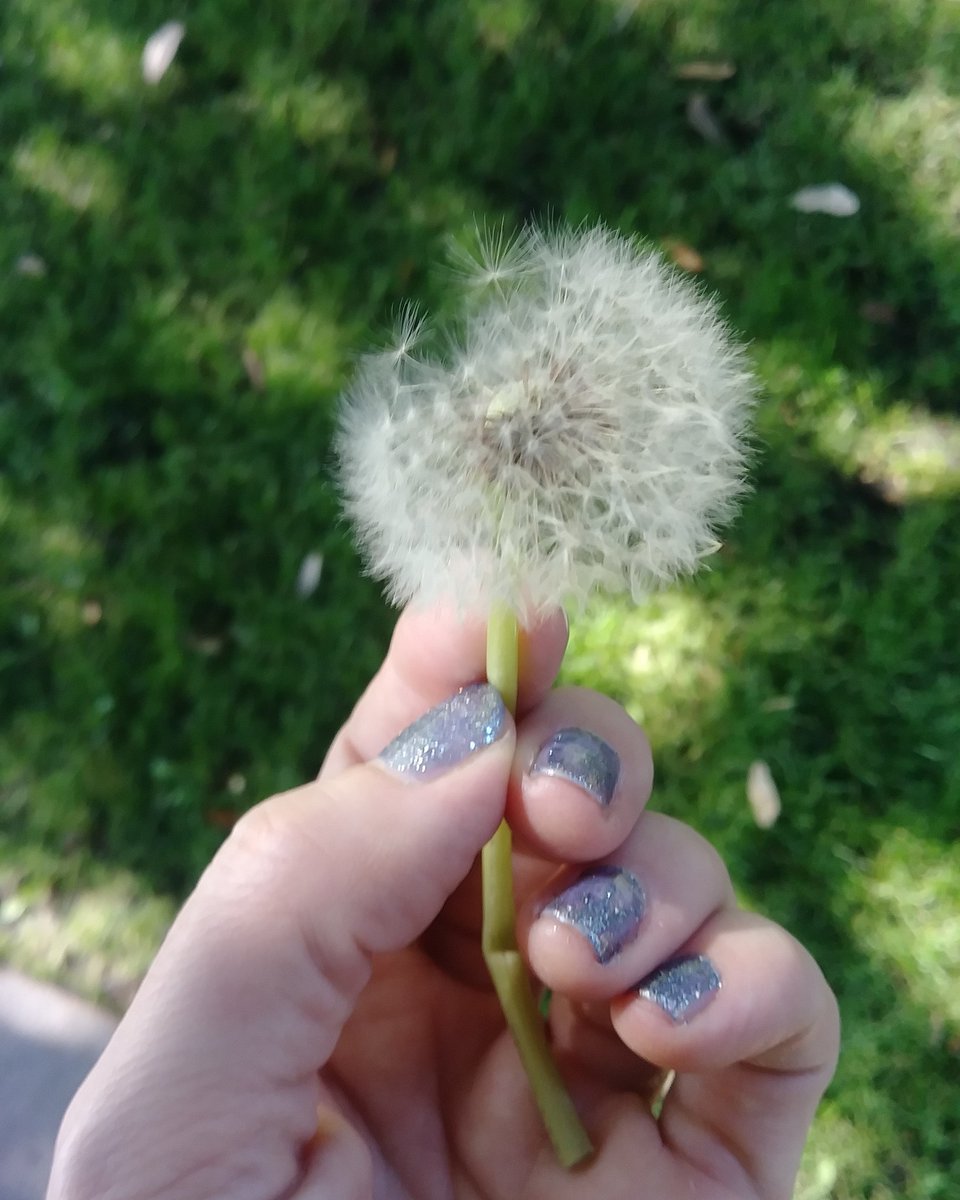 CandacValentino's tweet photo. Hold onto your dreams but always work for them 😘💖 #life #candacevalentinophotography #positivevibes #goals https://t.co/tnnrDzHGfP