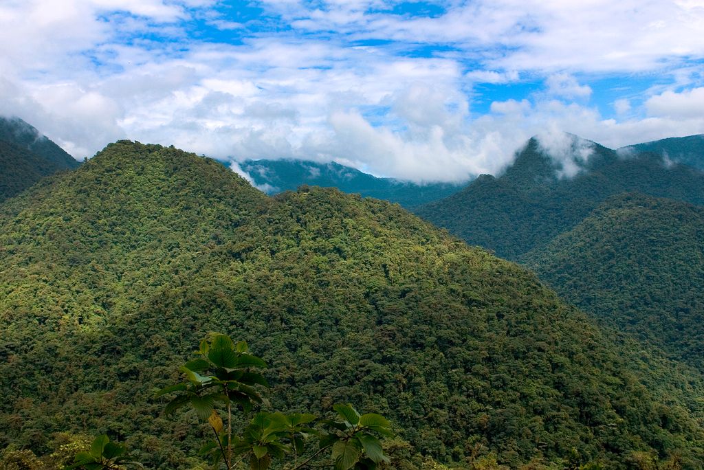 If you're thinking of a Spring holiday, we have a couple of places left on our Costa Rica Small Group Tour... Escape the cold- buff.ly/2GY6vOu #costarica #latinamerica#birdwatchingholiday