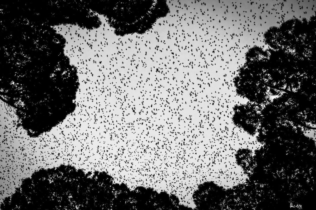 Ok. So I have been challenged by <a href="/jonhenley/">jon henley</a> to provide over seven days, seven black and white photos from my daily life. No people, no explanations. I accept. I am also meant to throw down the gauntlet to some new - so here is looking at <a href="/Noah_Browning/">Noah Browning</a>
Day One