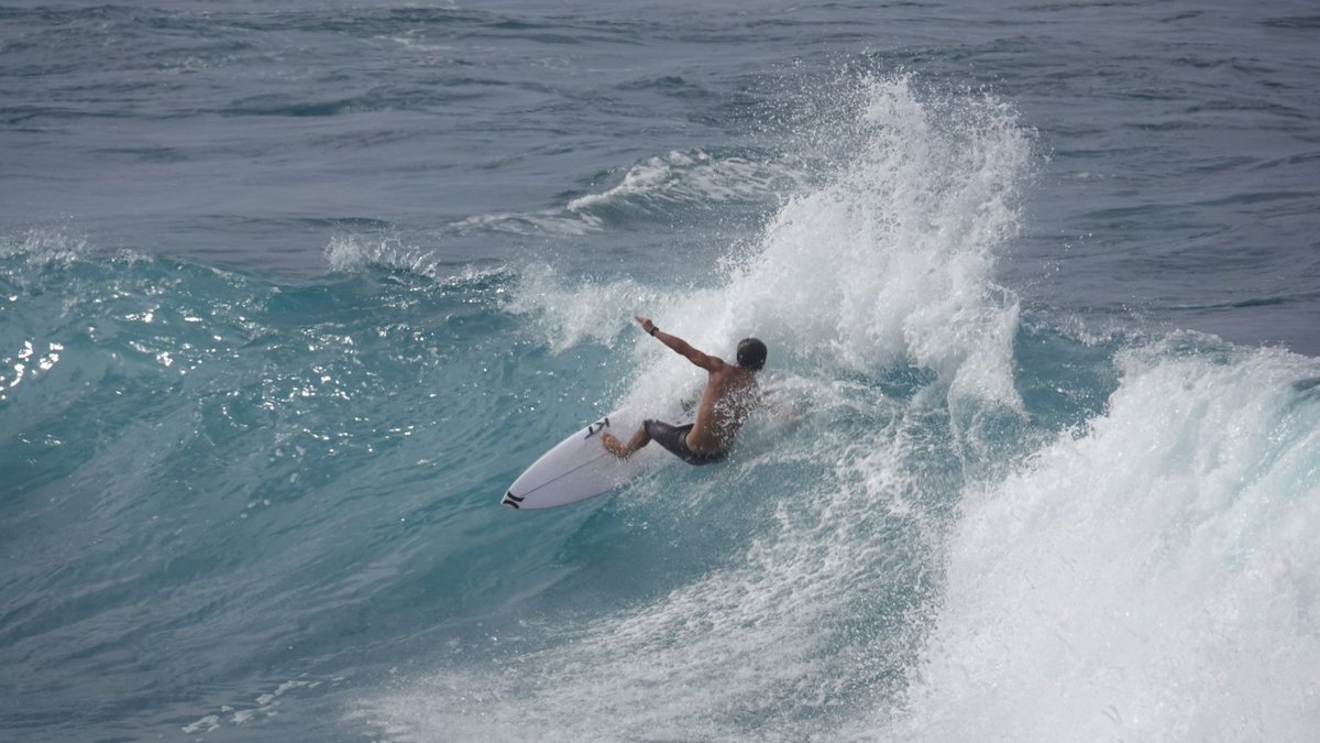 Christine Hartmann tweet media