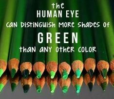 Preston Optometry tweet media