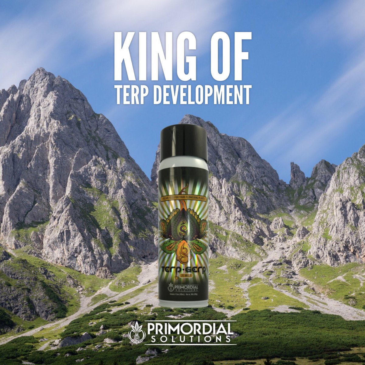 primordialsolut's tweet photo. Want to accelerate flowering and enhance Terp development? Use Terp Gerp. Simple as that π₯
#primordialsolutions #womengrow #seagreen #truebloom #rootamentary #paleobloom #marijuana #nugporn #terps #weedstagram #cannabisculture #cannabiscommunity #cannabislife #loyaltothesoil https://t.co/OR9ukcvSF4
