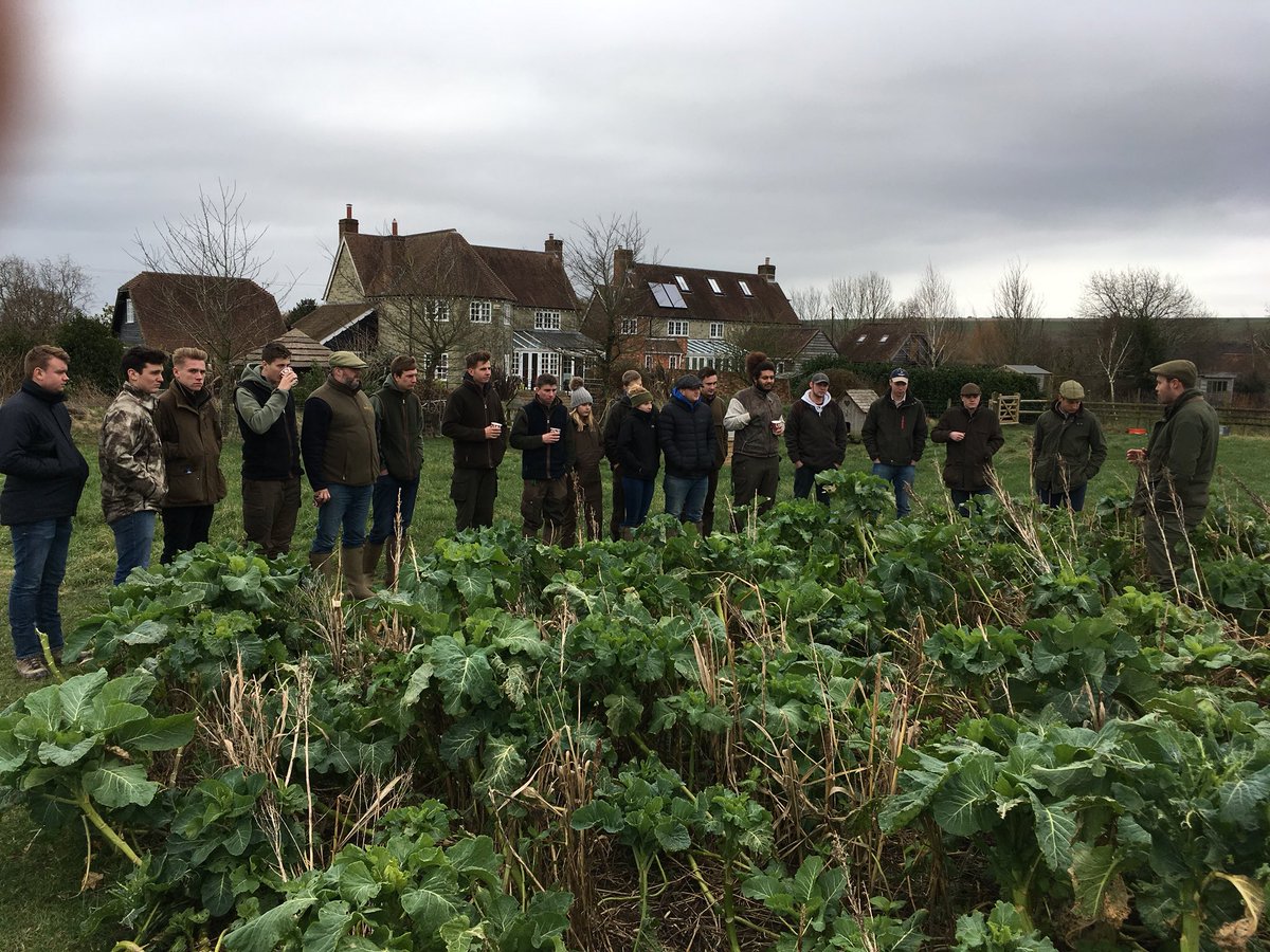 Good to see <a href="/Bright_Seeds/">Bright Seeds</a> pheasant &amp; finch mix still providing cover and feed for farmland birds into February. <a href="/Sparsholt_Coll/">Sparsholt College</a> Gamekeeping students impressed with all the cover crop options on show.