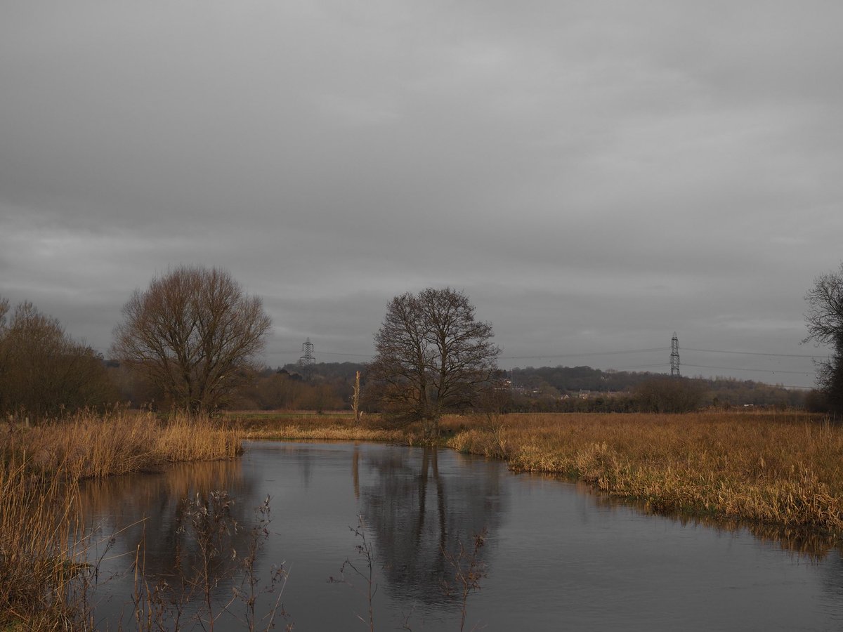 Ann Cole (ARosemaryCole) Twitter