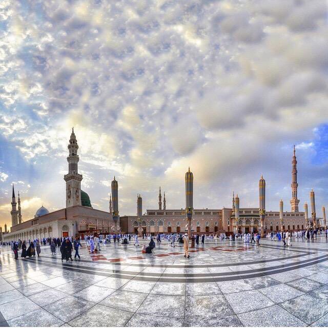 صـالح الـصـملـة tweet media