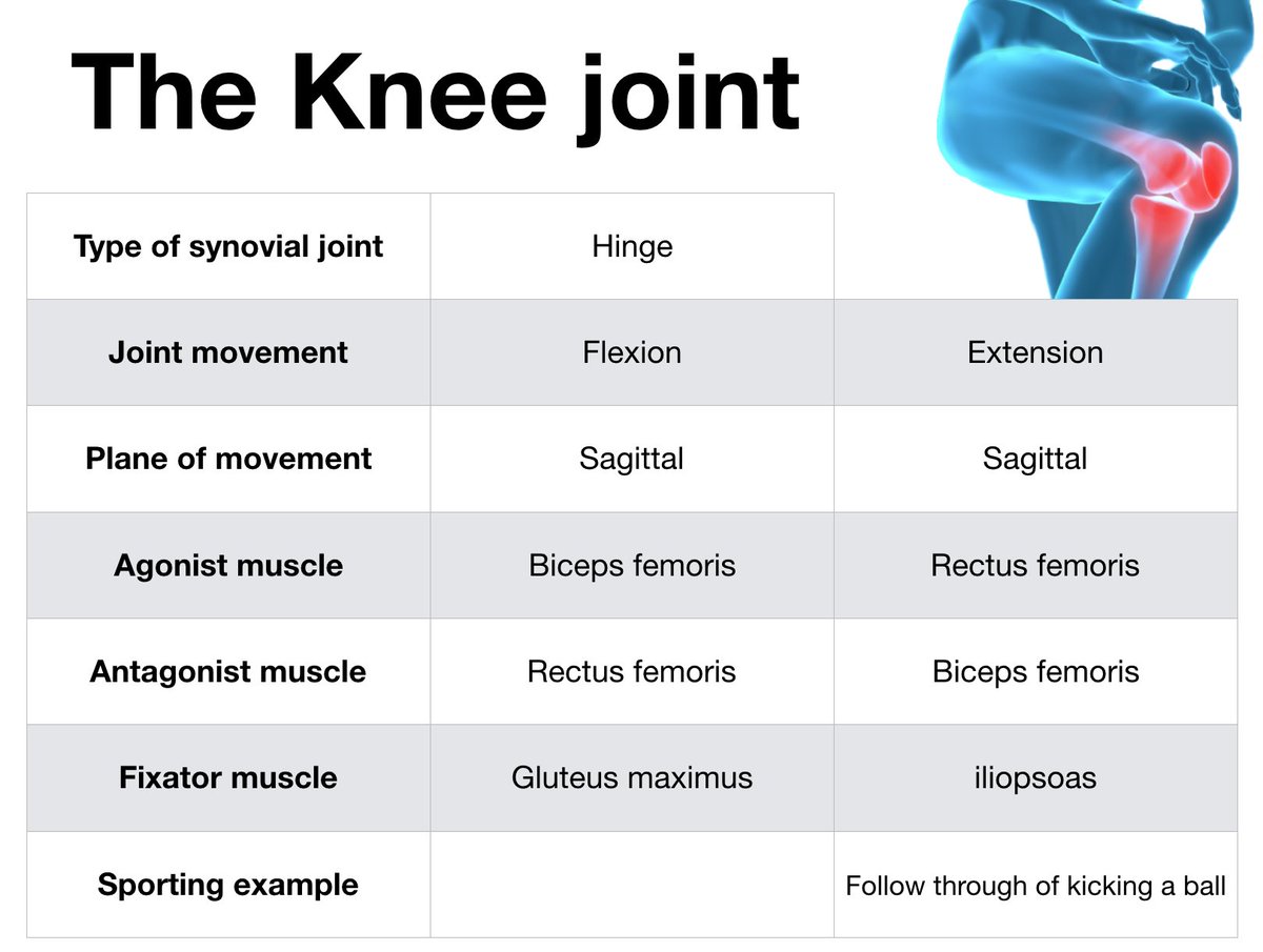 Movement analysis - Save to your phone or device! #riviAlevelPE