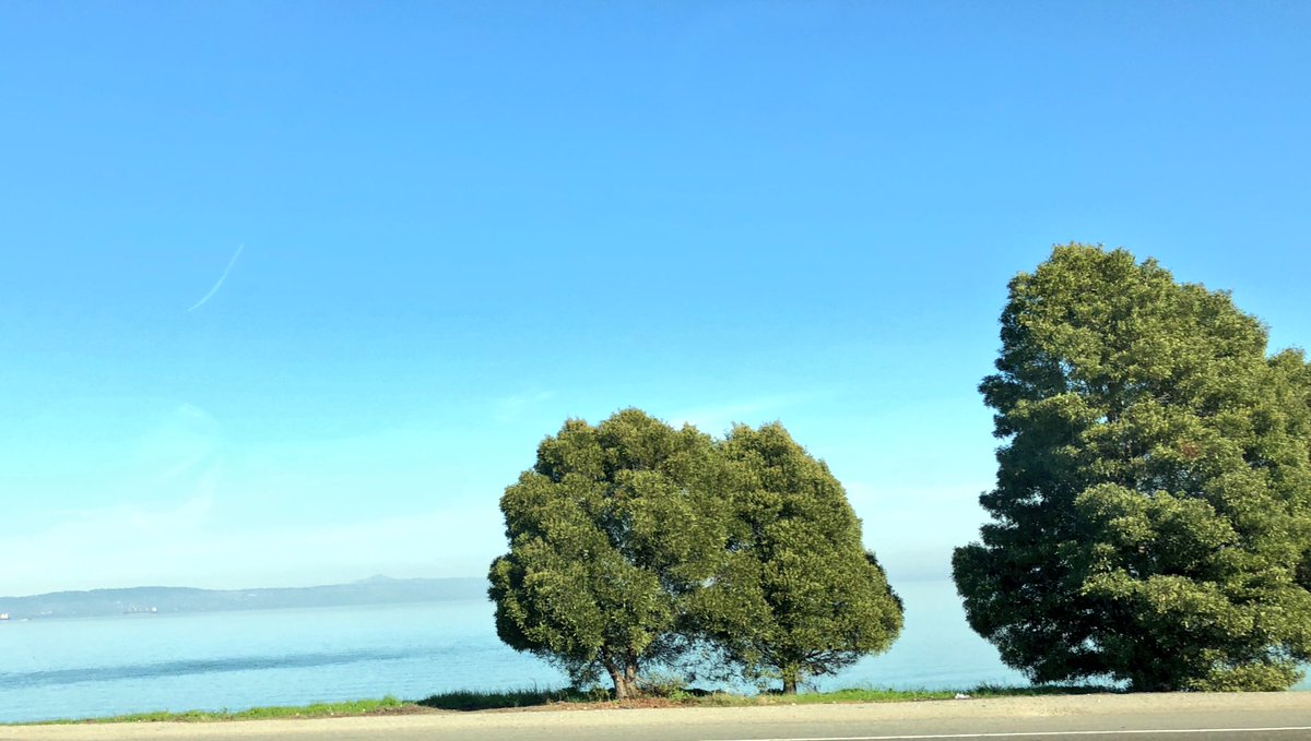 DavidGFool's tweet photo. Headed to #FoolOneSF, baby — 68 degrees and happy-sunny — and I’m silly-happy I get to meet and interview @kevin2kelly tomorrow. #learning #infiniteblue #EducateAmuseEnrich #SpreadingGlobalFoolishness https://t.co/TGL8dwlRkV