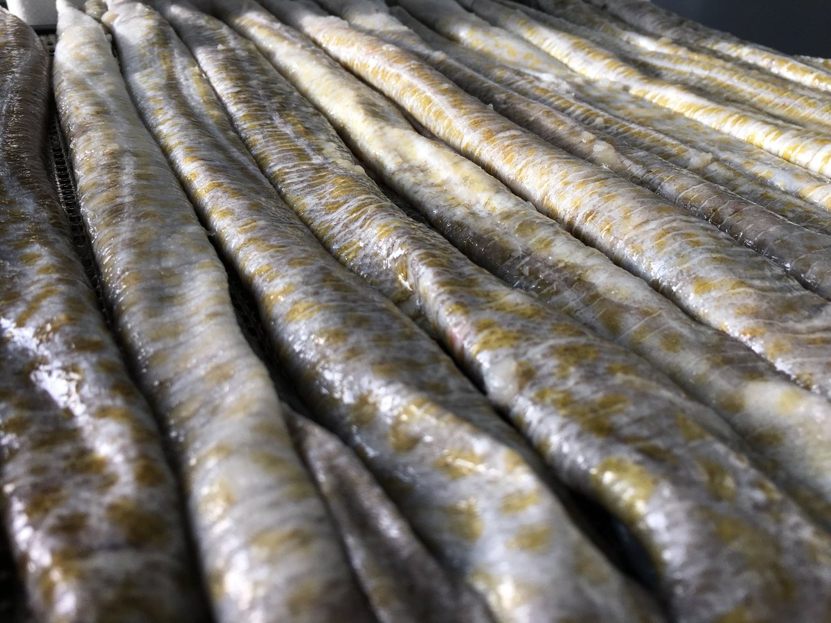 Freshly skinned cod, hand rolled and ready for drying!🐟💯

#madeinbelfast #natural #dogtreats #healthydog #dog #dogsoftwitter